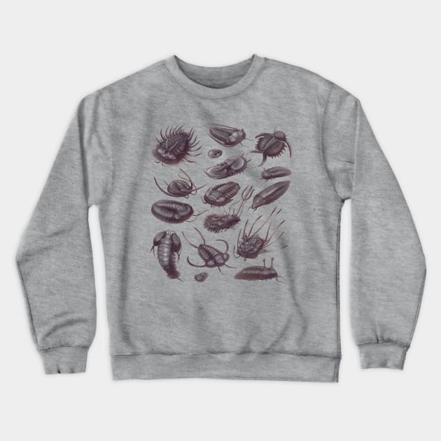 Trilobite Fossils Crewneck Sweatshirt by Wagglezags